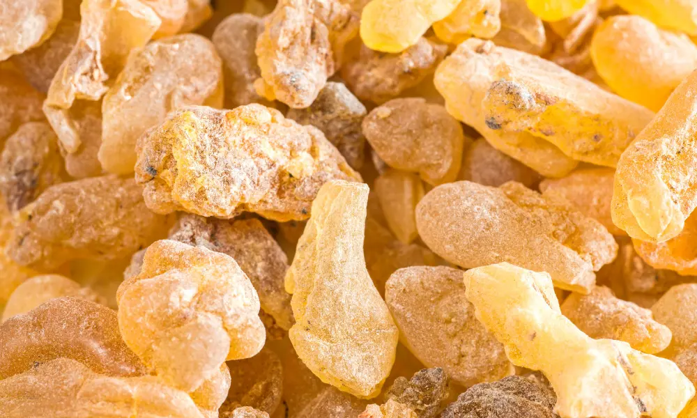 Boswellia serrata: hvad forskningen faktisk siger